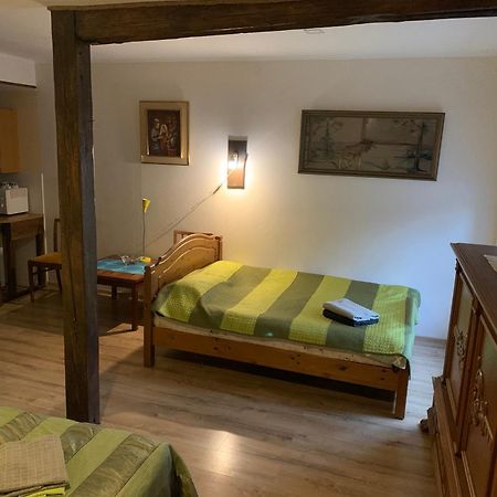 Delta 4 Nice Apartment 2 Big Bed Tartu Zewnętrze zdjęcie